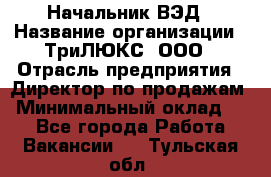 Начальник ВЭД › Название организации ­ ТриЛЮКС, ООО › Отрасль предприятия ­ Директор по продажам › Минимальный оклад ­ 1 - Все города Работа » Вакансии   . Тульская обл.